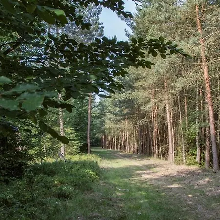 בקתה Vakantie Chalet 'Eekhoorn' - Bospark Op De Veluwe Doornspijk