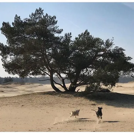 Vakantie Chalet 'Eekhoorn' - Bospark Op De Veluwe * Doornspijk