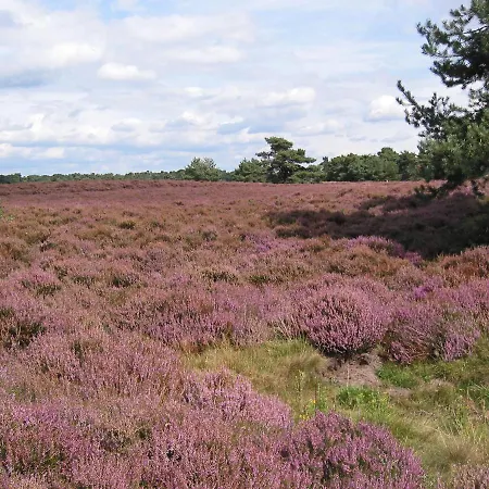 Vakantie Chalet 'Eekhoorn' - Bospark Op De Veluwe *